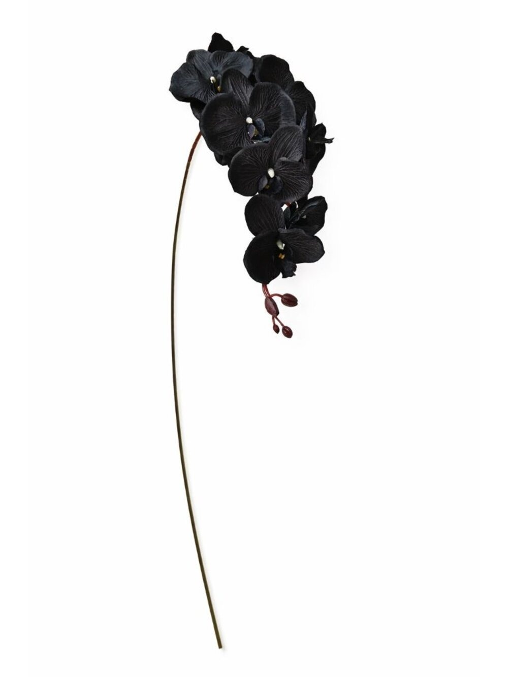 Black Orchid Stem Floral Artificial Orchid 38 Inch